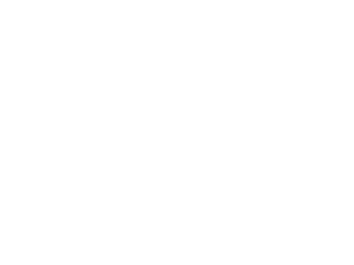 toray